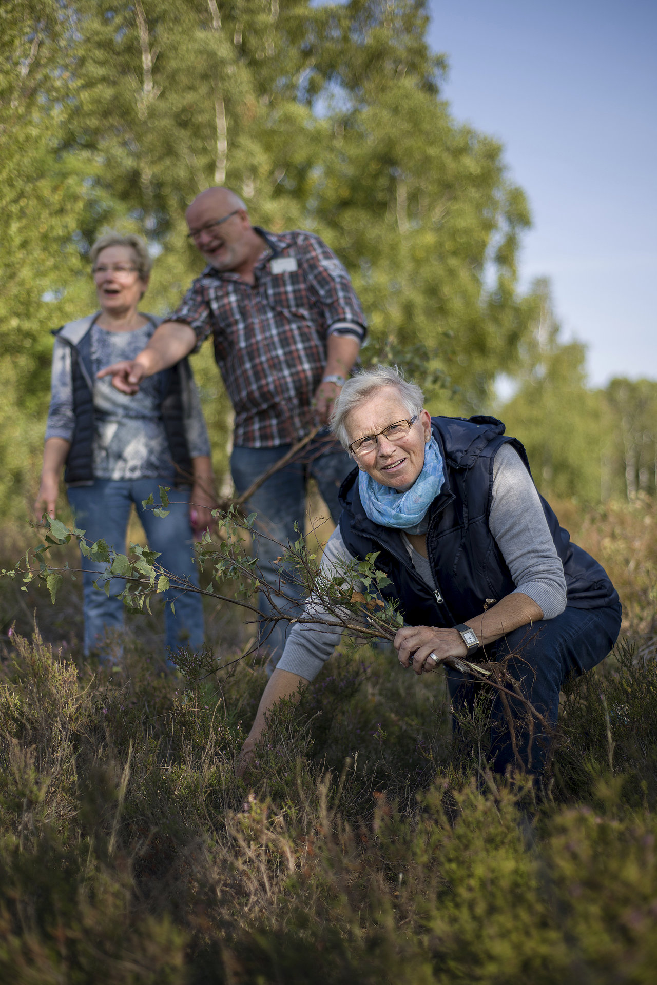 Das Foto zeigt drei Personen bei der Heidepflege, dem sogenannten Entkusseln.