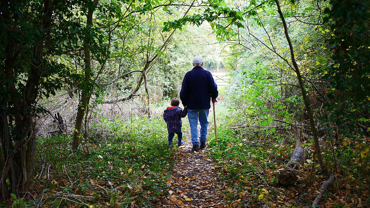 Zu sehen ist eine älter Person, die mit einem Kidn an der Hand im Wald spazieren geht