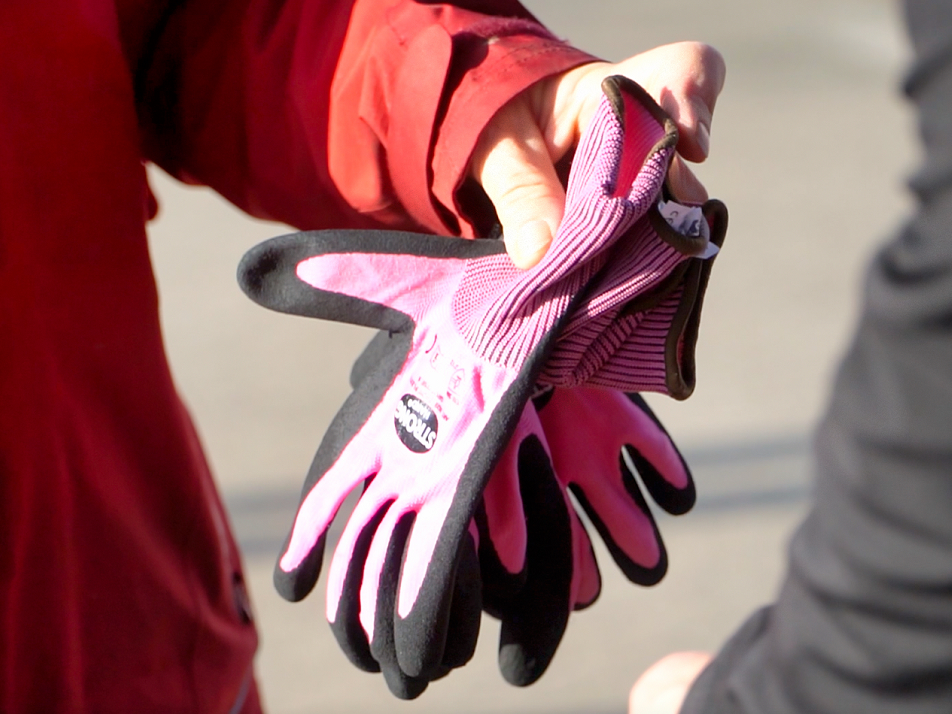 Das Bild zeigt einen Menschen mit Arbeitshandschuhen in der Hand