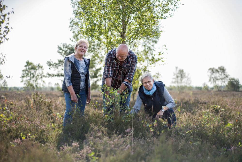 Foto von drei Personen, die eine Heidefläche pflegen
